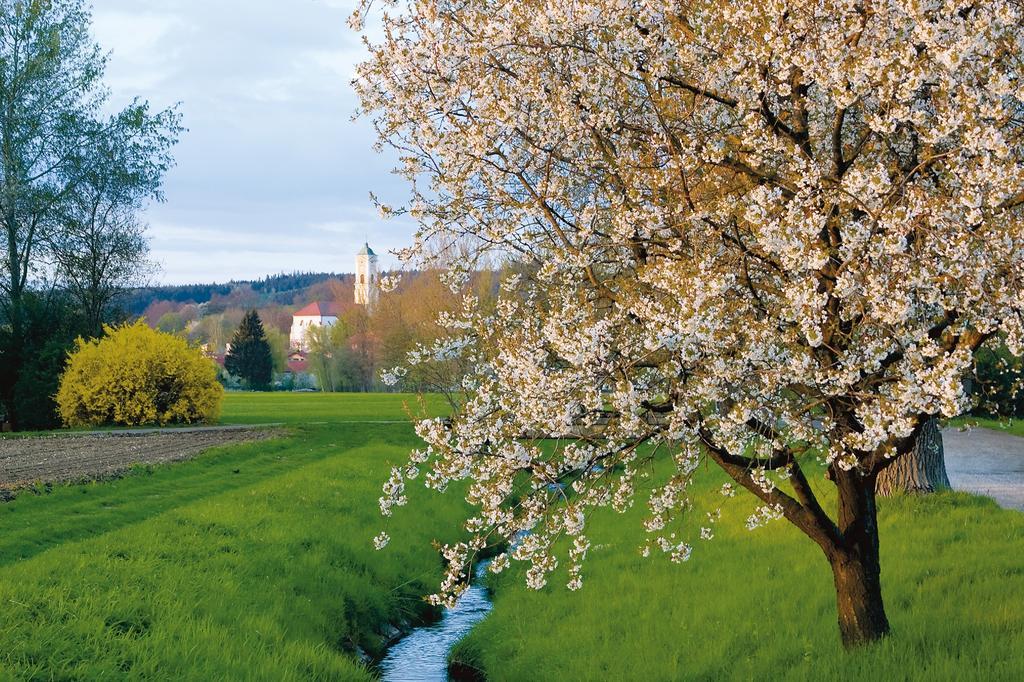 Hotel Sonnenhof Bad Birnbach Eksteriør billede